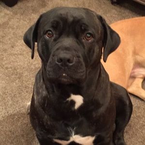 Meet your Posher, Denise